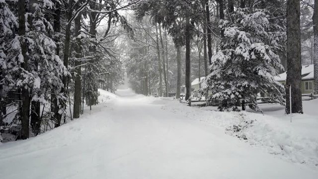 car driving road forest tree winter snow in ontario canada