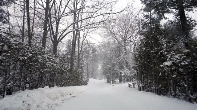 car driving road forest tree winter snow in ontario canada