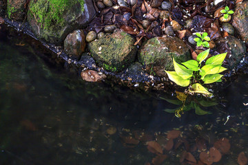 closeup rocks and water with soft-focus in the background. over light