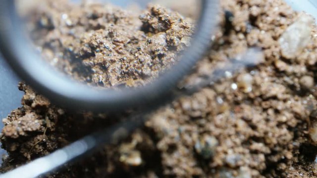 Minerals and soils sample
