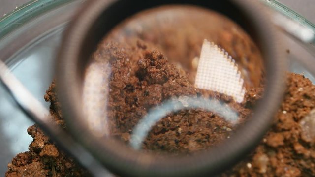 Minerals and soils sample
