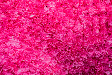 pink flower pattern and background texture