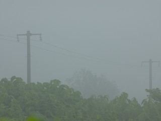 濃霧と電柱