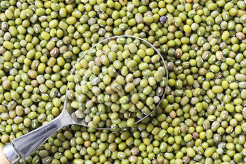 Green beans seed in a Silver spoon.