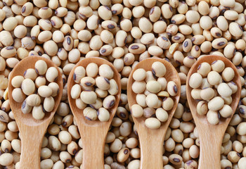 fresh soybean in wooden spoon.