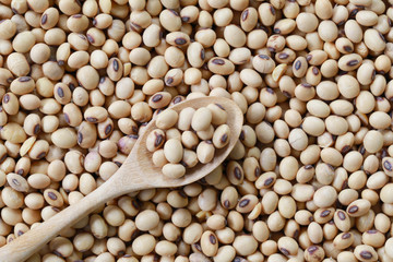fresh soybean in wooden spoon.