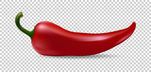 Realistic red chilli pepper icon isolated on transparent background. Design template of food closeup in vector. - obrazy, fototapety, plakaty