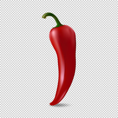 Realistic red chilli pepper icon isolated on transparent background. Design template of food closeup in vector.