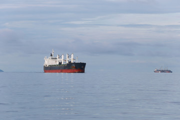cargo ship in the sea.