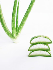 fresh green aloe vera isolated on white background