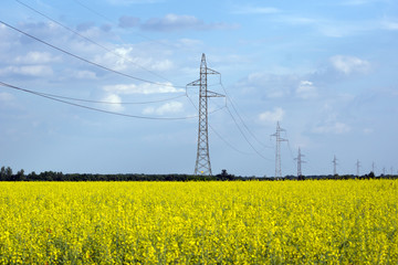 Power line pole.