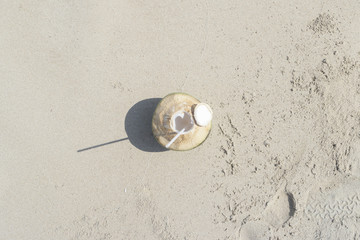 Coconut on the beach.