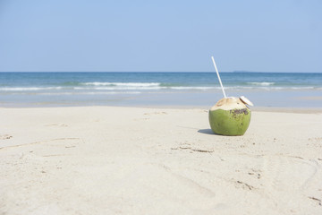 Coconut on the beach.
