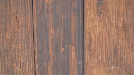 Warm Wood Grain Vert