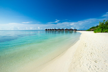 Fototapeta premium Maldives island with beach