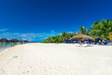  Maldives island with beach