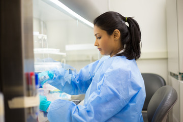 Closeup portrait, scientist pipetting from 50 mL conical tube with blue liquid solution, performing laboratory experiments, isolated lab . Forensics, genetics, microbiology, biochemistry