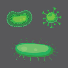 vector set bacteria and virus flat illustration