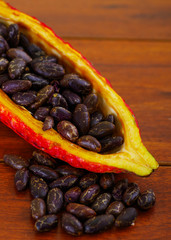 Fresh cocoa beans in a cocoa pods on wooden background