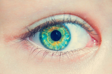 Green eye, close-up