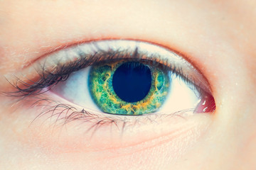 Green eye, close-up