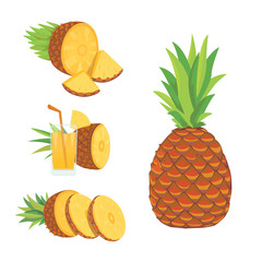 Set of pineapple slices isolated on white background. Fresh natural fruit.