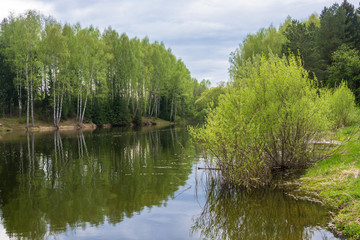 Fototapeta na wymiar Beautiful water landscape reflected in the water birch.
