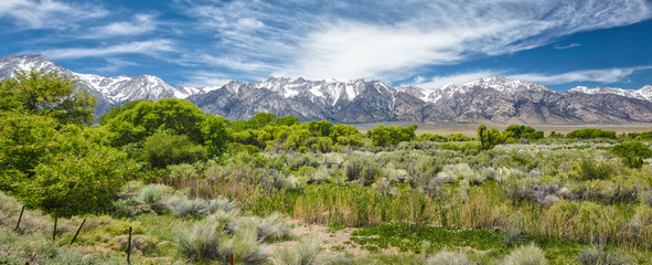 Mountain Valley with Trees