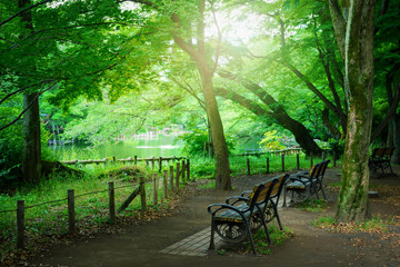 池のある公園