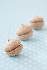 チョコレートサンドイッチクッキー