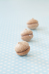 チョコレートサンドイッチクッキー