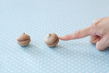 チョコレートサンドイッチクッキー