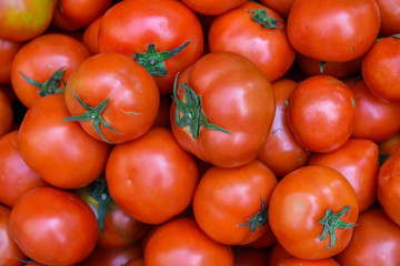 red tomatoes background. Group of tomatoes