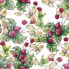 Background of berries of raspberriWatercolor illustration