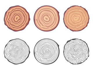 Natural tree rings background saw cut tree trunk decorative design elements set vector illustration