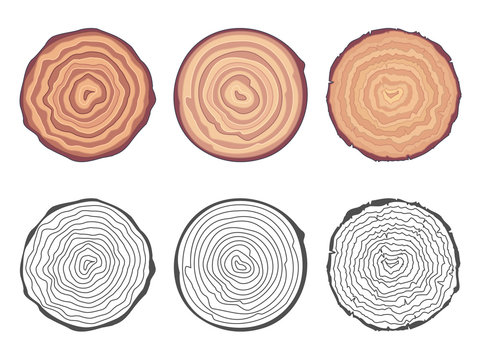 Natural tree rings background saw cut tree trunk decorative design elements set vector illustration