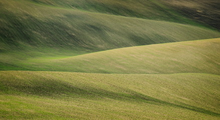 Spring Field in South Moravia, Moravia, South Moravia, Czech republic