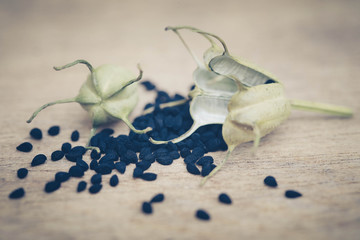 Nigella seeds