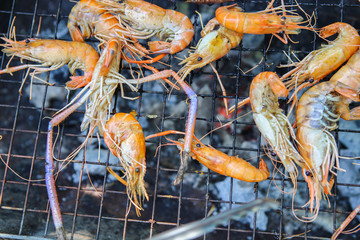 grilled shrimp