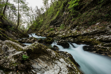 Water stream (Vintgar gorge)