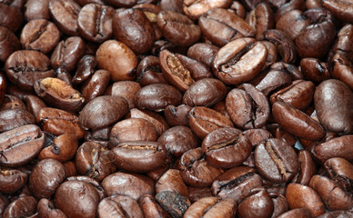 texture background of coffee beans
