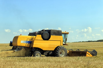 Obraz premium harvest