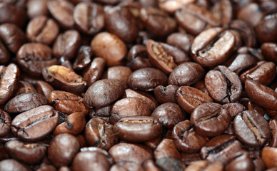 texture background of coffee beans