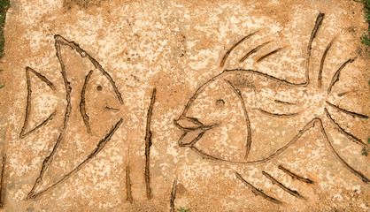 Drawings of animals