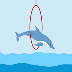 The dolphin jumps through the ring.