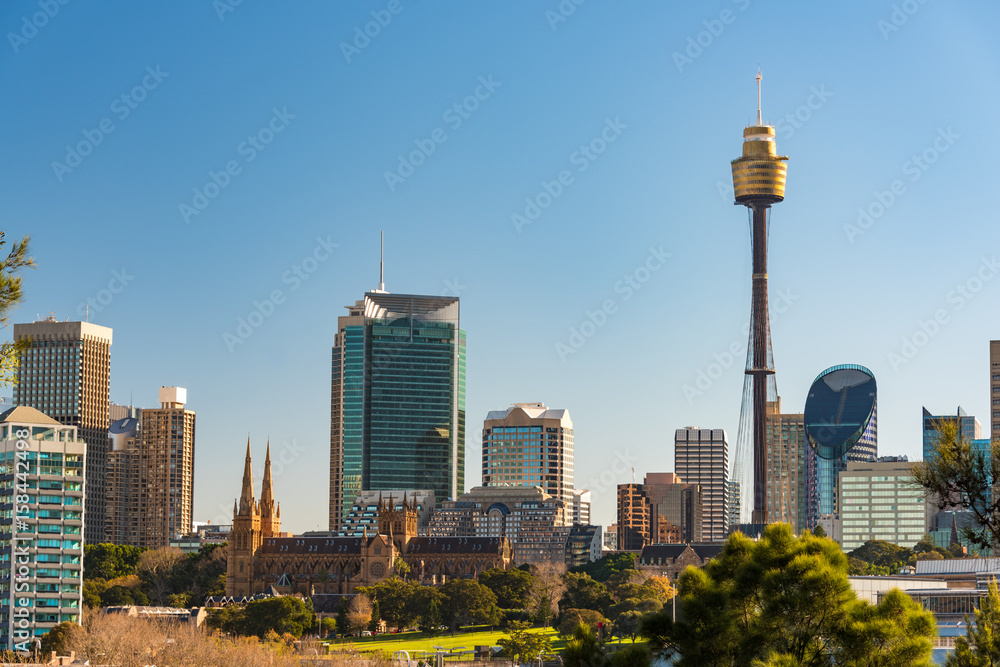 Wall mural Panoramic view on Sydney CBD with Sydney tower and St Mary Cathedral