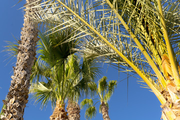 Photo backdrop to use in header inspirational quote about summer vacation time or holiday mood.