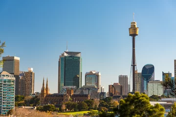 Poster Panoramic view on Sydney CBD with Sydney tower and St Mary Cathedral © Olga K