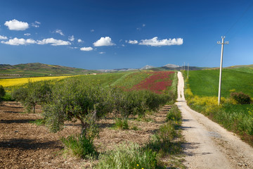 Sicilian landscape, Italy