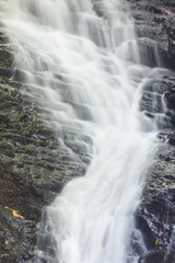 Fototapeta na wymiar Small waterfall in monteverde cloud forest reserve